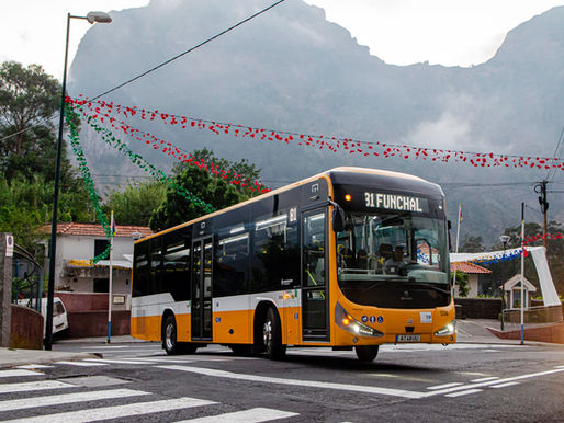 Festa da Nossa Senhora do Livramento