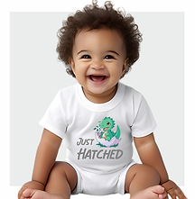 Little Hatchlings_Categories.zip - Baby Announcement.PNG