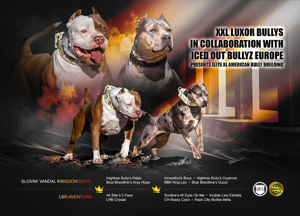 Slovak Vandal Kingdom Devil x Aventura (fire color).jpg