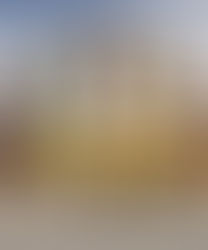 ALDI Plans to Add 800 Stores by the End of 2028