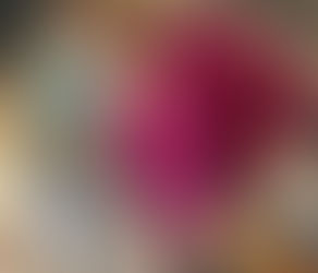 Another Trip Around The Sun