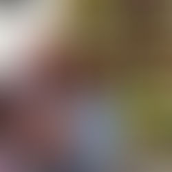 Another Trip Around The Sun