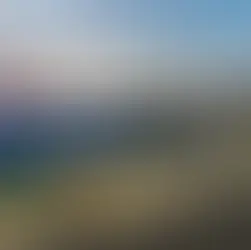 Albertsons posts Q4 results