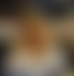 Another Trip Around The Sun