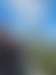 Where Are They Now: Ron Wagner