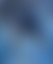 Retail sales stayed strong in August, despite sluggish job market