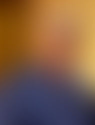 Where Are They Now: Bob Potter