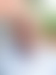 Another Trip Around The Sun