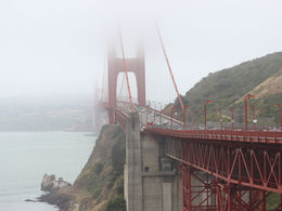 Write Your Representatives to Co-Sponsor the Ocean-Based Climate Solutions Act