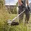 Thumbnail: GFR 18V-23 Professional Cordless Brushcutter (SOLO)