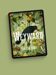 Review: Weyward by Emilia Hart