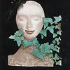 Merry%20mask%20ivy%20120%20res.jpg