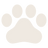 Pata