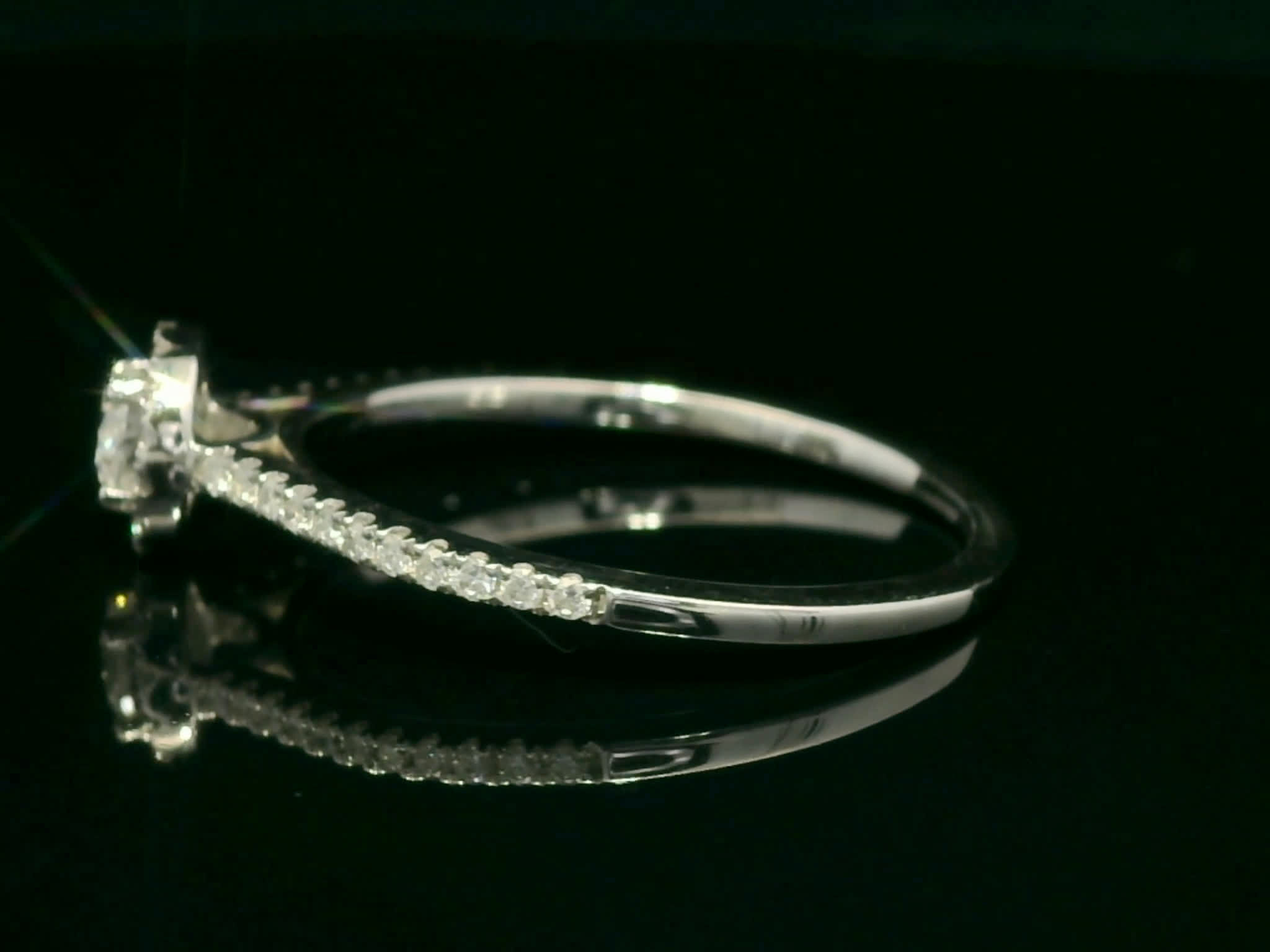 Round Brilliant Diamond Halo Engagement Ring in White Gold