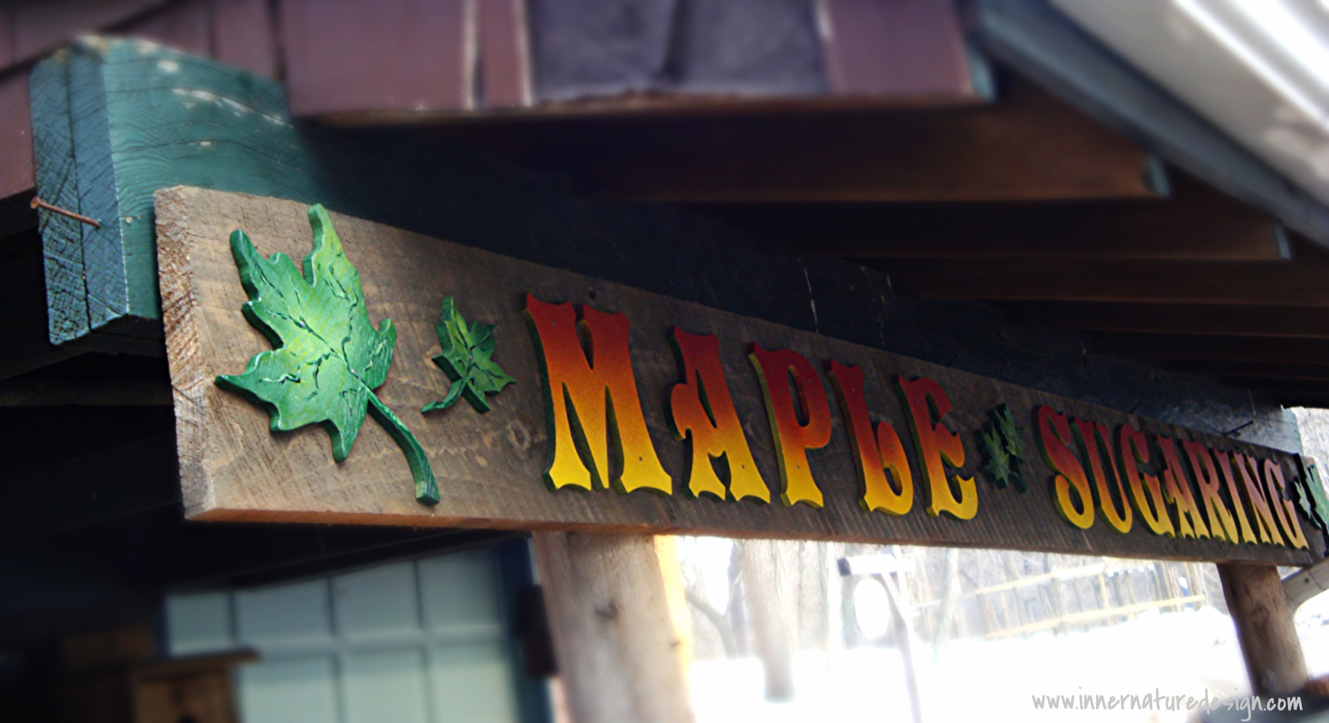 Backyard Maple Sugaring