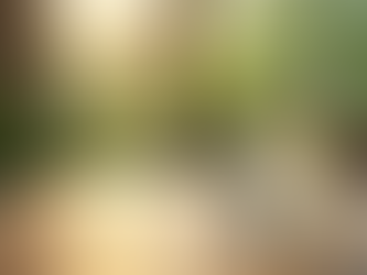 Revolutionize Wellness with Bioenergetic Energy Water