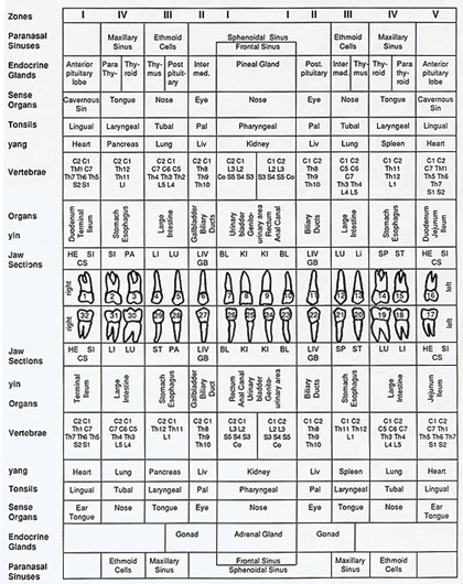 toothchart2.gif