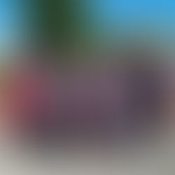 A Great Day of Planting on the Trail – 142 Plants in the Ground