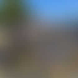 NZ Airforce Cadets Community Workday on the Trail