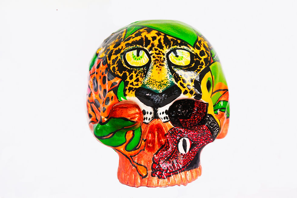 amazon calavera