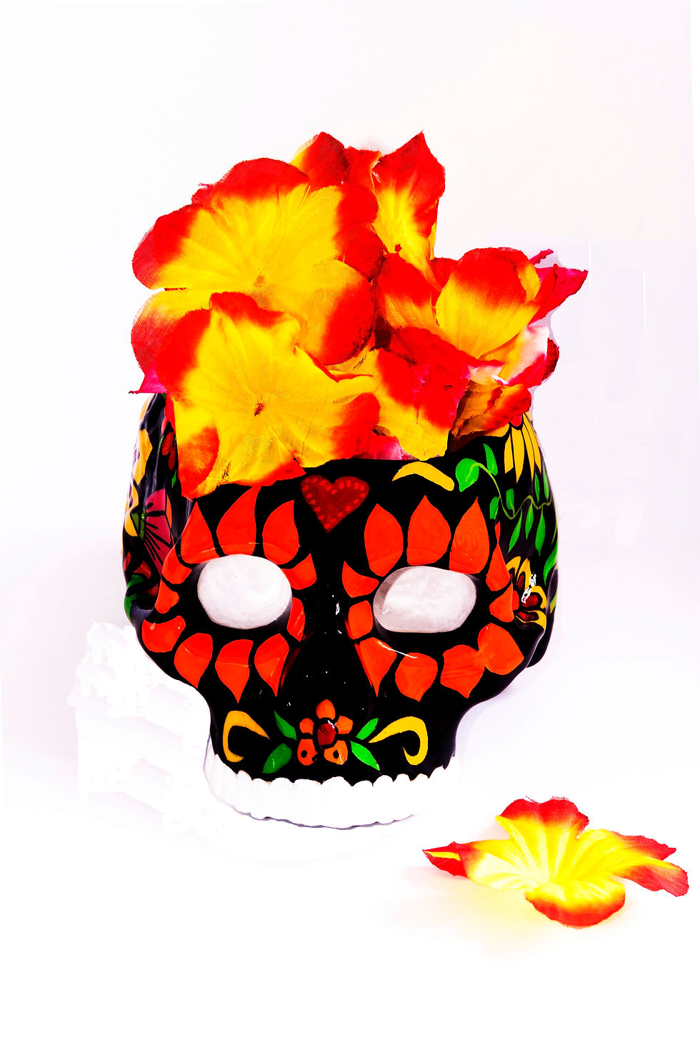 calaveracolor