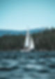 Sailboat on the ocean