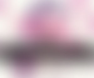 CELEBRAMOS 50 ANOS DE BELEZA!