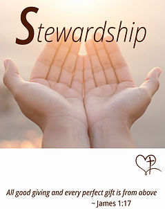 Copy of Stewardship 2025 (537 x 805 px) (1).png