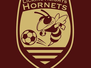 The Bittersweet Lady Hornets’ Soccer Senior Night