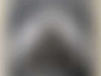 Spooky Night with The Addams Family