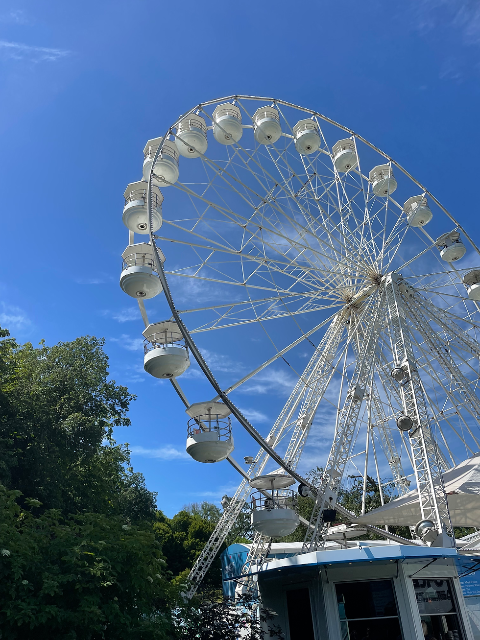 Ferris Wheel in the Botanical Gardens