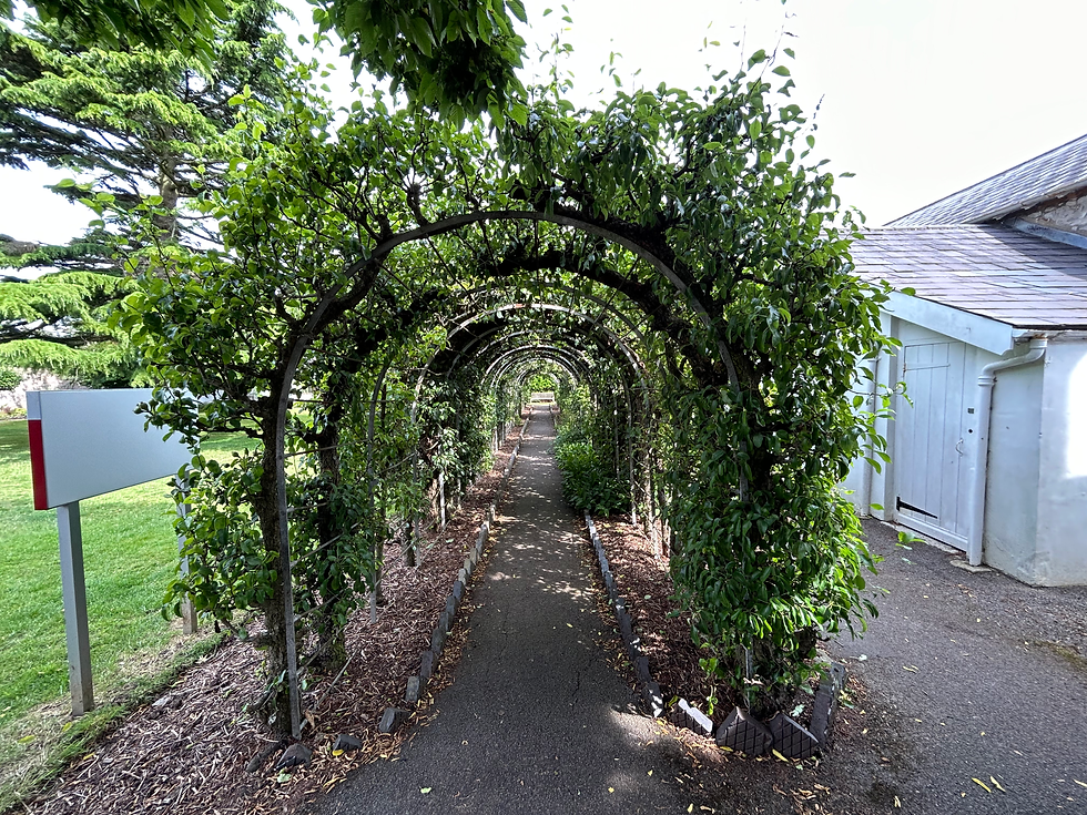 Parks at Langford