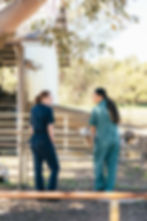 Murdoch Vet School
