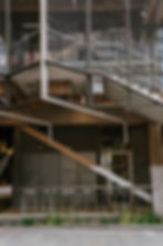 RMIT University