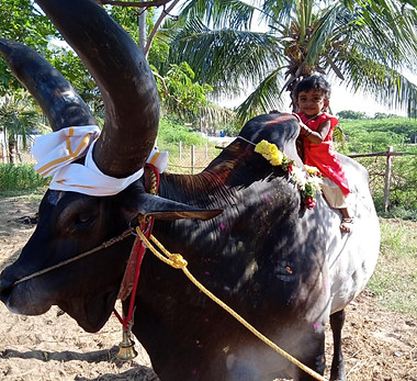 WhatsApp Image 2021-07-09 at 10.22.44 AM.jpeg