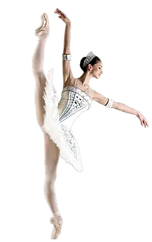 sort ballet 会報 Ballet Blast from the Past