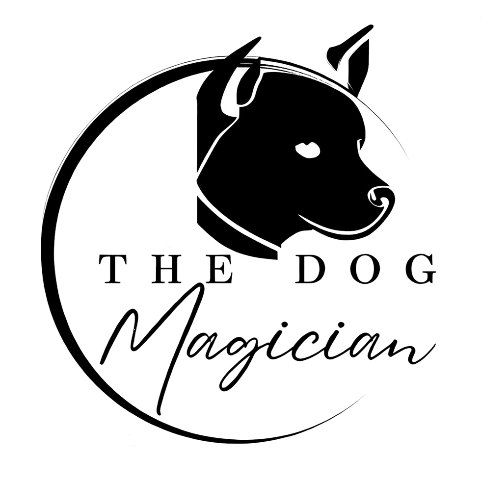 dog trainers hire