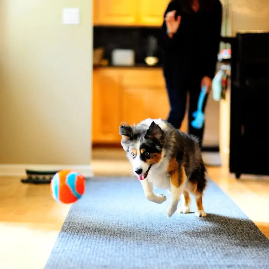 Evde güvenli oyun için tasarlanmış Bounceflex teknolojili yumuşak köpek oyuncağı.