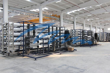 Untitled design (17).jpg