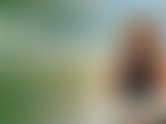 Why Children Don’t Learn Best When We “Tell” Them The Power of Guided Participation