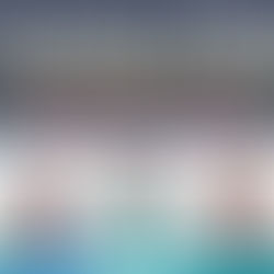 How Visualizing & Verbalizing Helps Children Succeed in Math, Science & Beyond