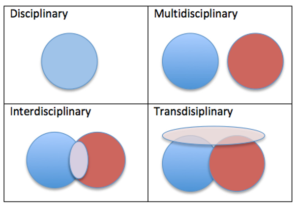 Multidisciplinary, Transdisciplinary Approach, Disciplinary, and Interdisciplinary 