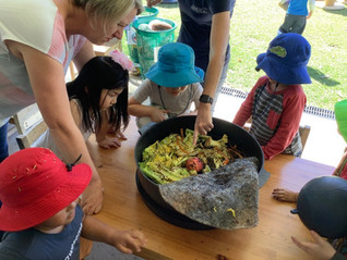 Checking out the Kindy Worms...