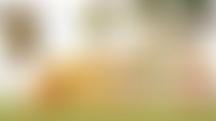 🇫🇷 Merci à Rayann ATHEY (Apiculture du Val des Charmes) apiculteur situé en Bourgogne-Franche-Comté. pour m'avoir confié la réalisation de ses étiquettes afin de présenter ses 4 miels (Tilleul, Fleurs, Été et Acacia).