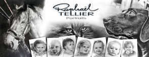 MES PORTRAITS ANIMALIERS • Raphaël TELLIER