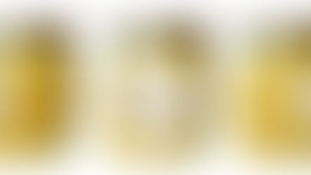 Nicole et Denis TARDIVO • Saint-Rémy-de-Provence (Provence-Alpes-Côte d'Azur)