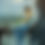 Thumbnail: Whispers Of Silence