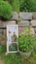 Altes recyceltes Fenster in einem Garten