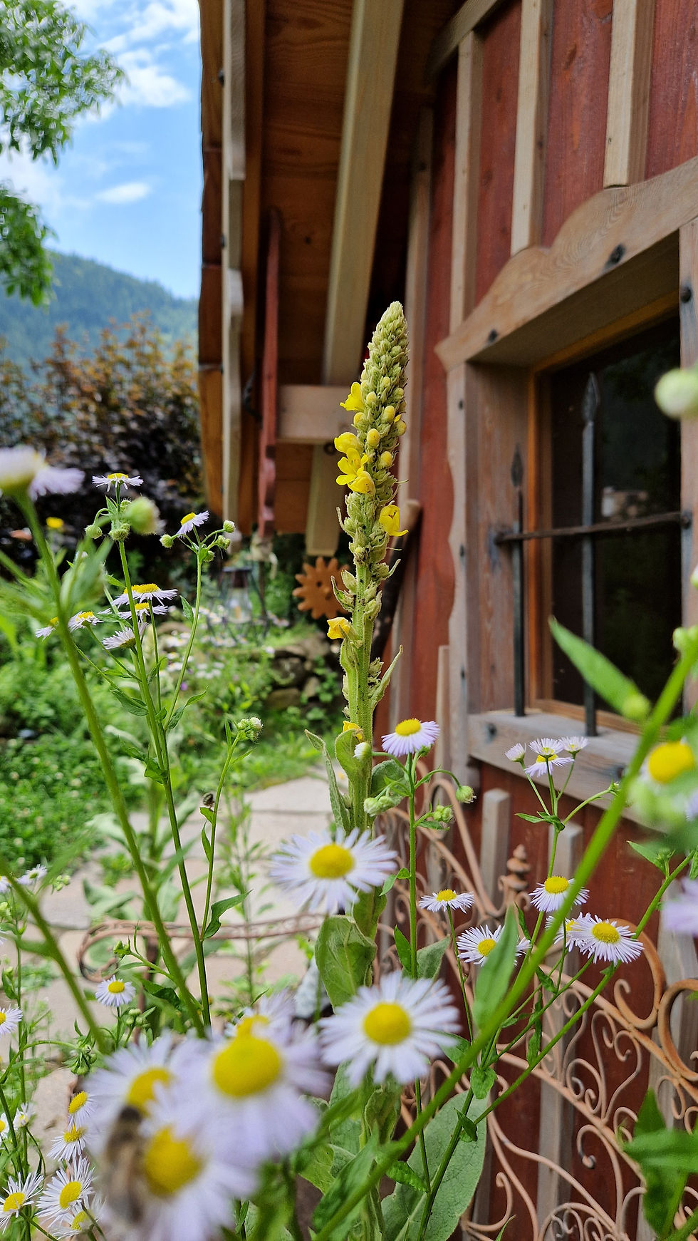 Blumen und das Hexenhaus im Wildgarten