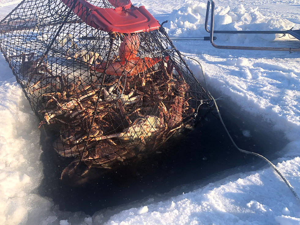 King Crab Fishing in Alaska